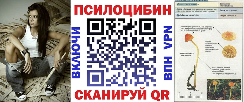 Псилоцибиновые грибы Magic Shrooms  дарк нет официальный сайт  Борисоглебск 