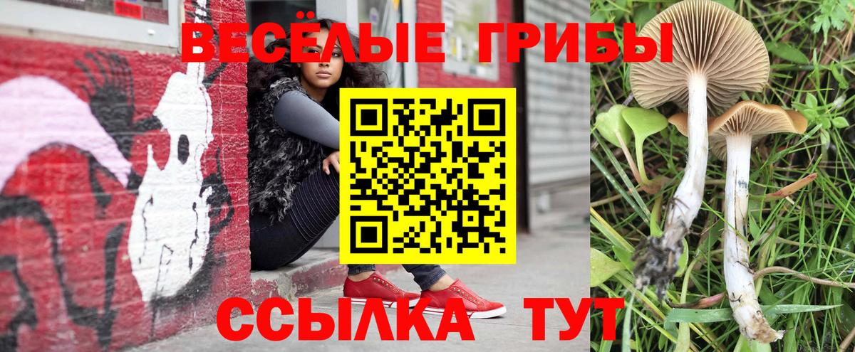 Псилоцибиновые грибы MAGIC MUSHROOMS Борисоглебск