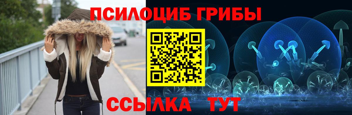 Псилоцибиновые грибы MAGIC MUSHROOMS  Вход с VPN  Борисоглебск 